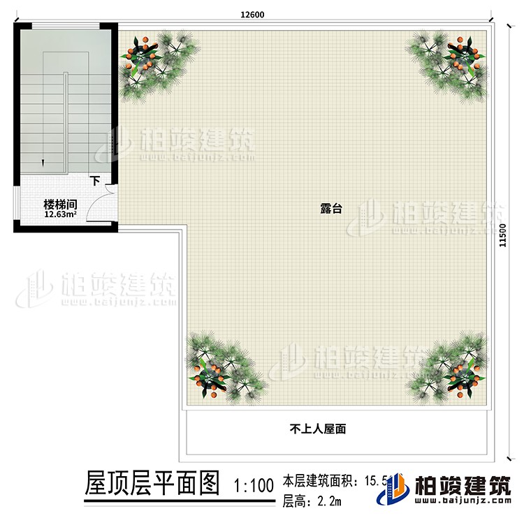 房頂：樓梯間、露臺